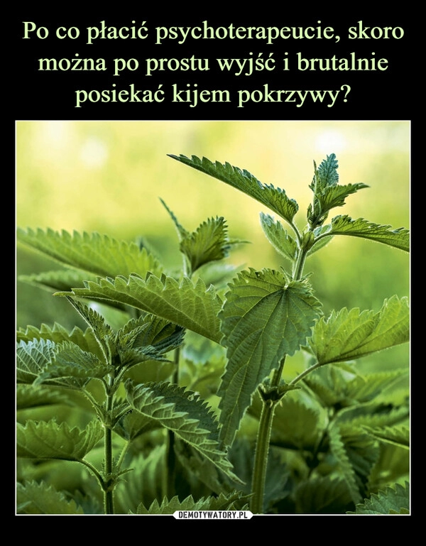 
    Po co płacić psychoterapeucie, skoro można po prostu wyjść i brutalnie posiekać kijem pokrzywy?