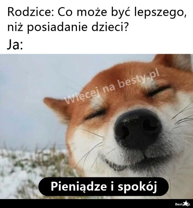 
    Coś się znajdzie 