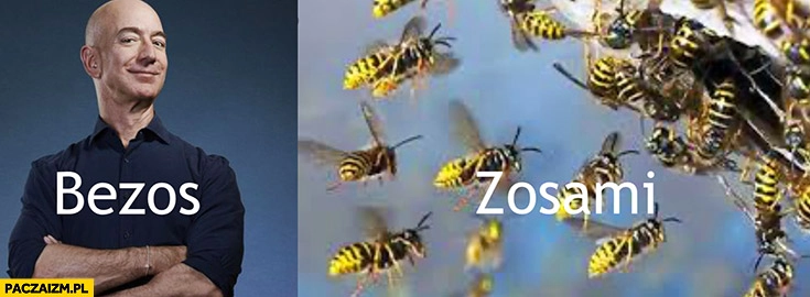 
    Jeff Bezos z osami osy dosłownie