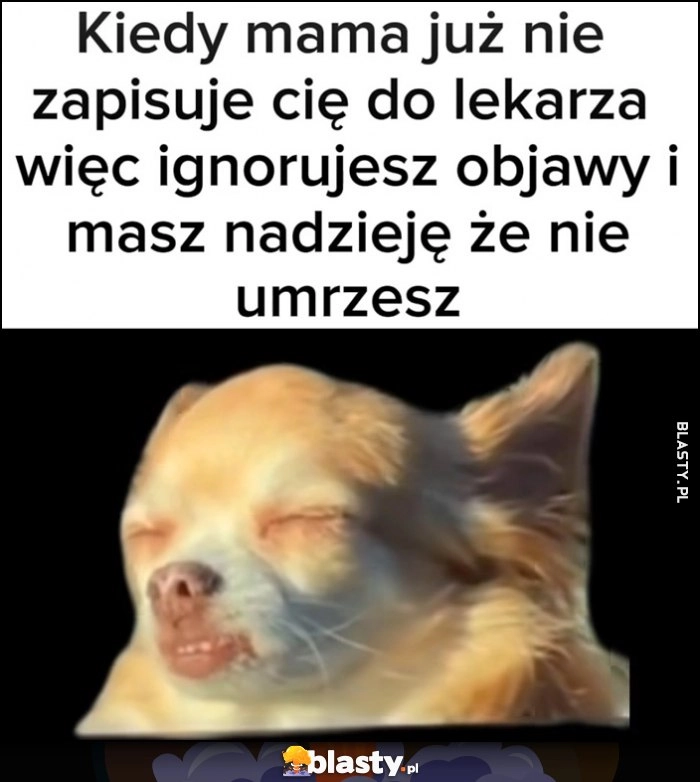 
    Kiedy mama już nie zapisuje cię do lekarza, więc ignorujesz objawy i masz nadzieję, że nie umrzesz pies piesek