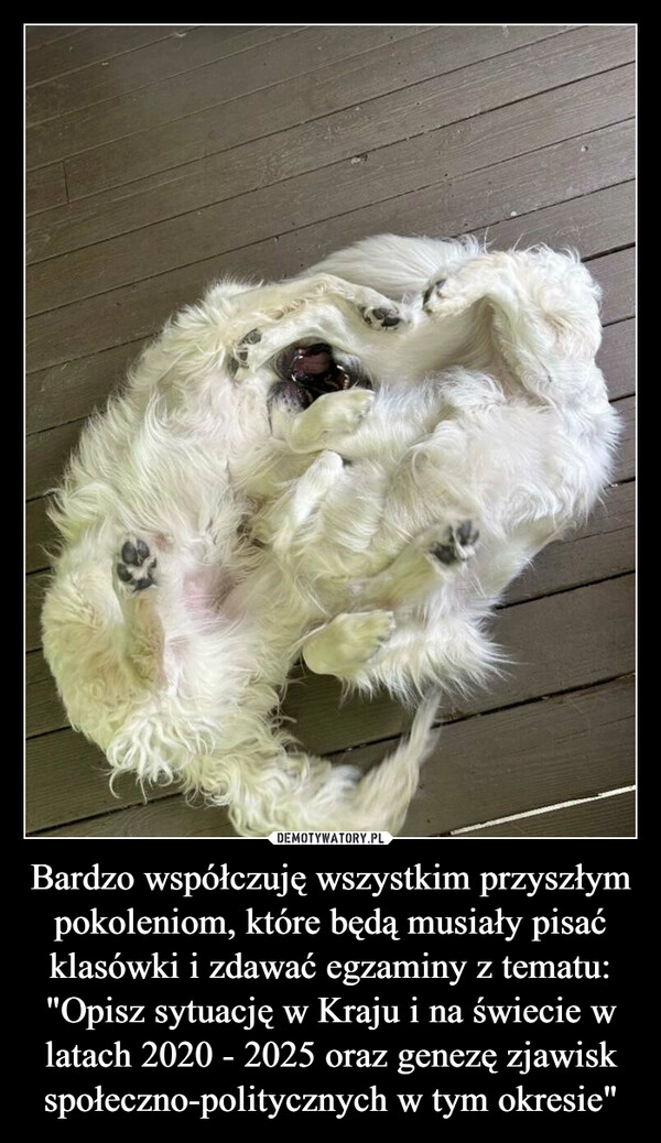 
    Bardzo współczuję wszystkim przyszłym pokoleniom, które będą musiały pisać klasówki i zdawać egzaminy z tematu: "Opisz sytuację w Kraju i na świecie w latach 2020 - 2025 oraz genezę zjawisk społeczno-politycznych w tym okresie"