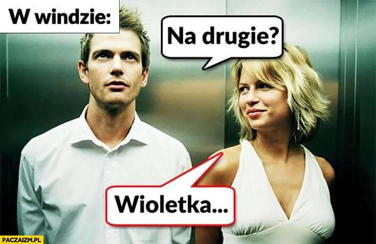 
    W windzie na drugie Wioletka