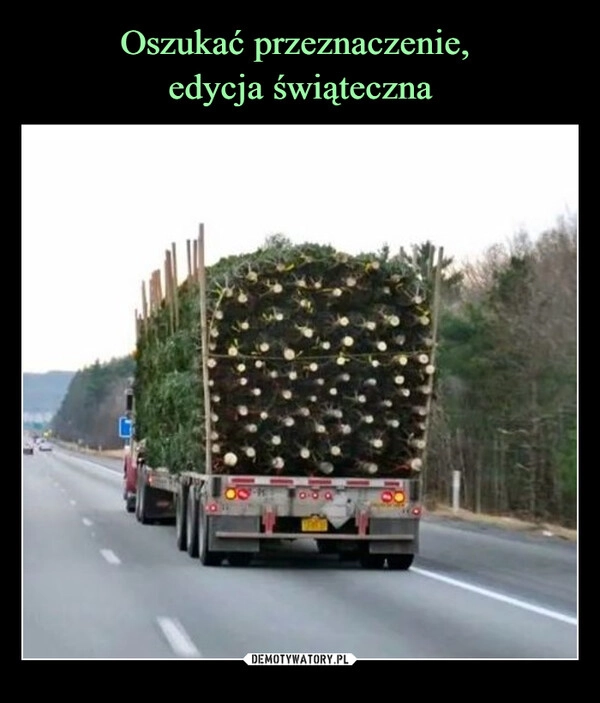 
    Oszukać przeznaczenie, 
edycja świąteczna