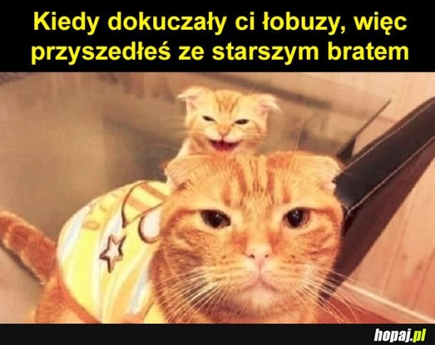 
    Brat pomóż