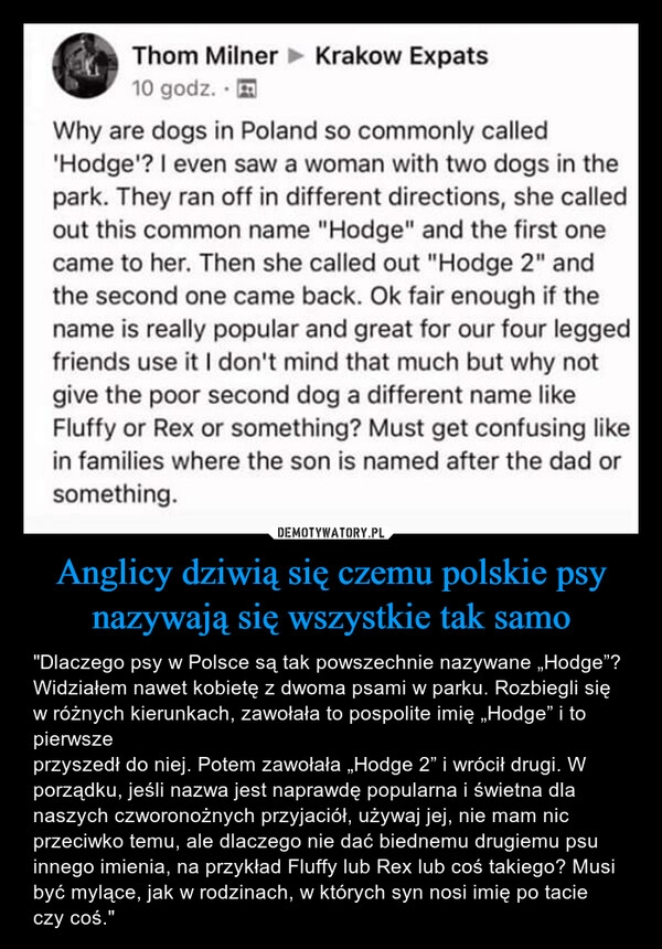 
    Anglicy dziwią się czemu polskie psy nazywają się wszystkie tak samo