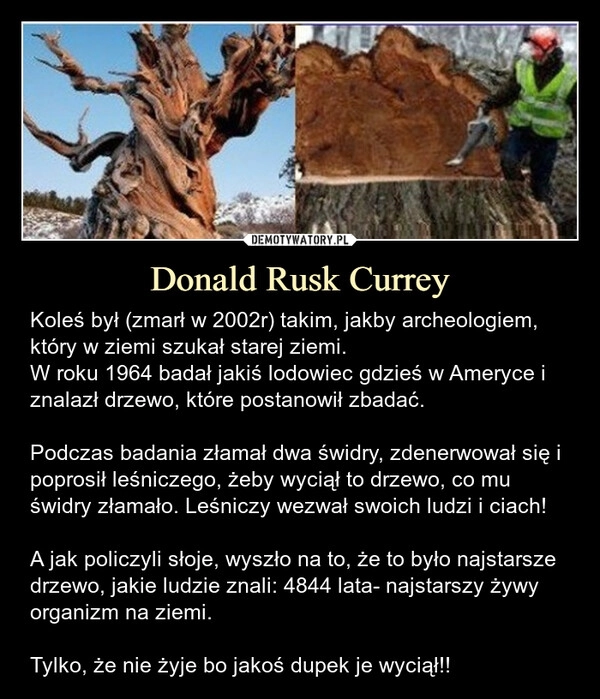 
    Donald Rusk Currey