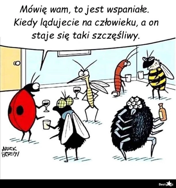 
    Spotkanie owadów 