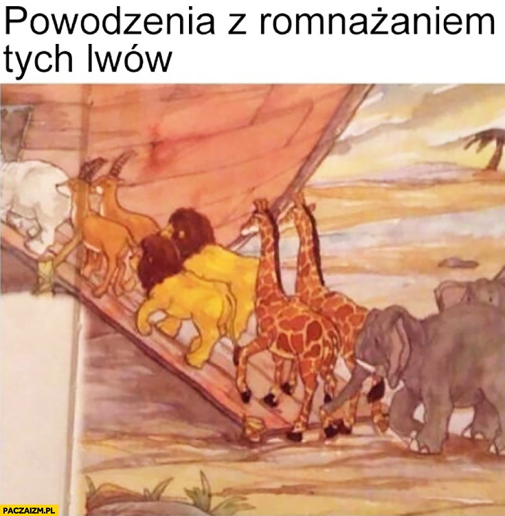 
    Powodzenia z rozmnażaniem tych lwów Arka Noego dwa samce