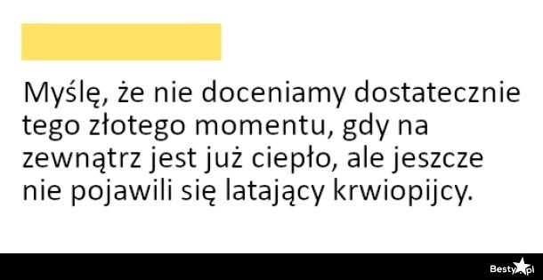 
    Złoty moment 