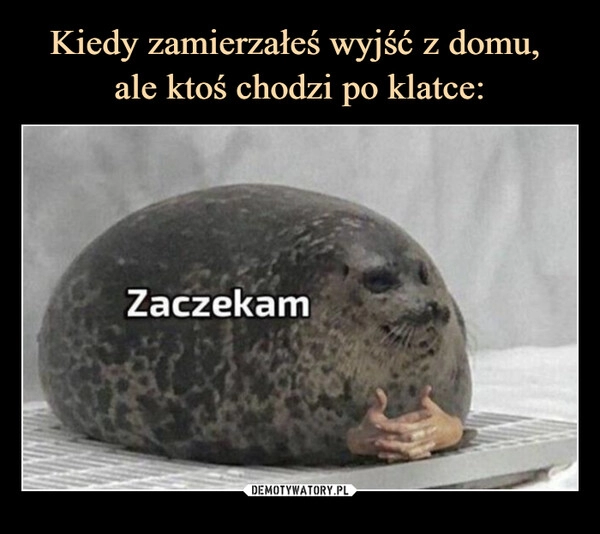 
    Kiedy zamierzałeś wyjść z domu, 
ale ktoś chodzi po klatce: