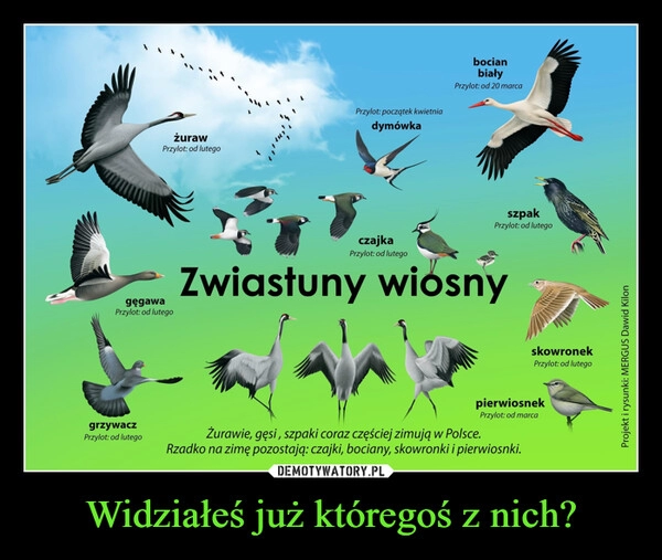 
    Widziałeś już któregoś z nich?