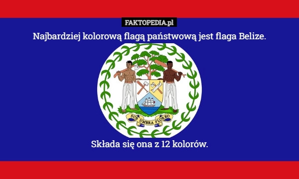 
    Najbardziej kolorową flagą państwową jest flaga Belize.

Składa się