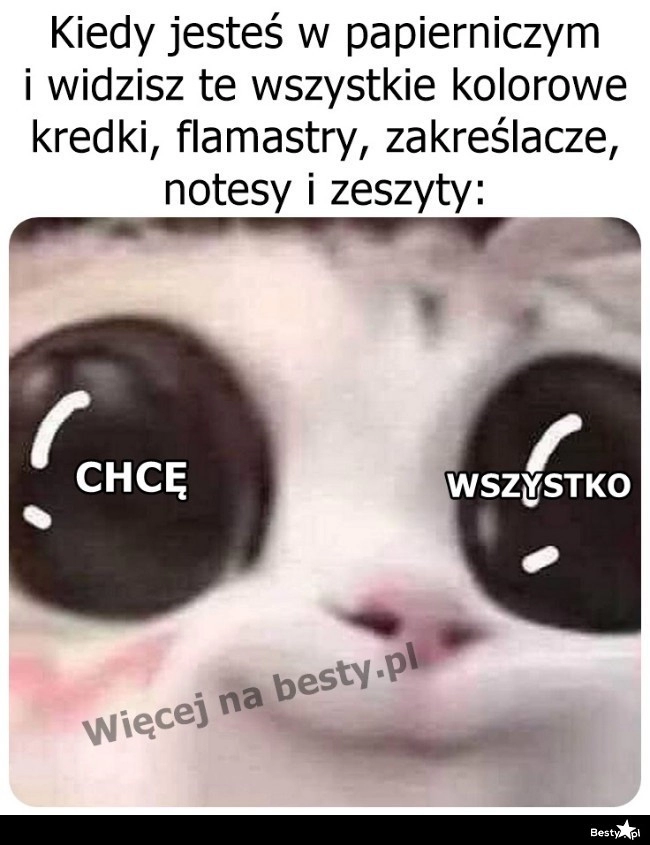 
    Plus zakupów na nowy rok szkolny 