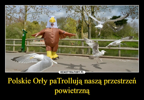 
    Polskie Orły paTrollują naszą przestrzeń powietrzną