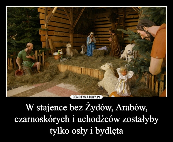 
    W stajence bez Żydów, Arabów, czarnoskórych i uchodźców zostałyby tylko osły i bydlęta