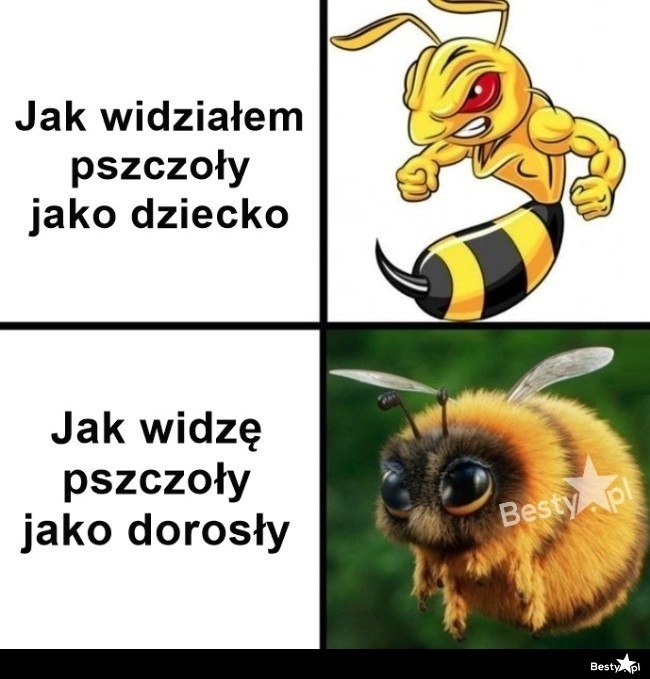 
    Pożyteczne stworzonka 