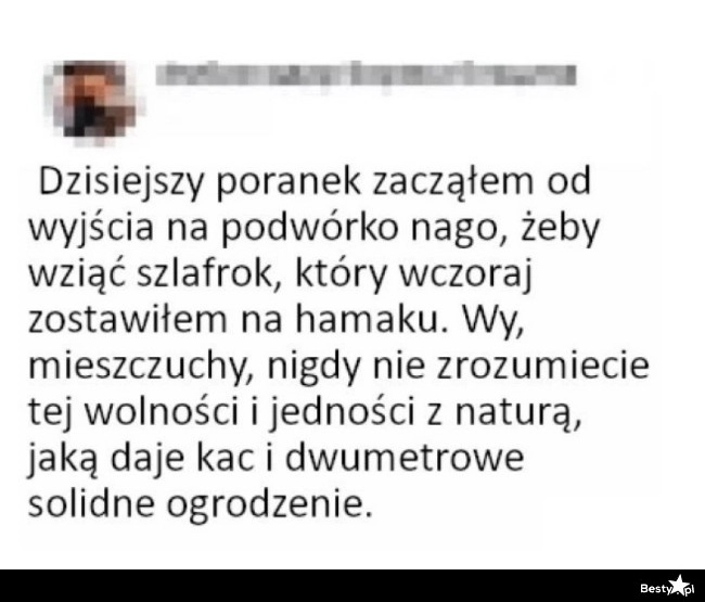 
    Zew wolności o poranku 