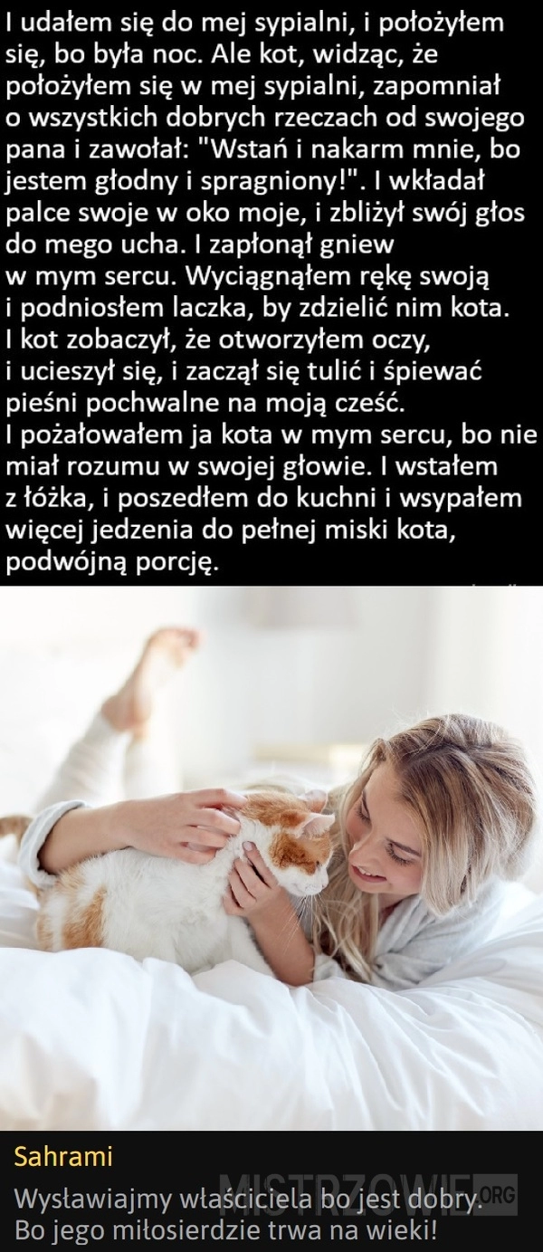 
    Cierpliwość wystawiona na próbę