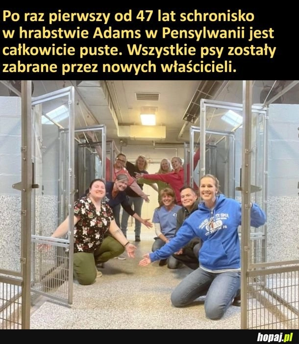 
    Wszystkie pieski ze schroniska zostały zaadoptowane