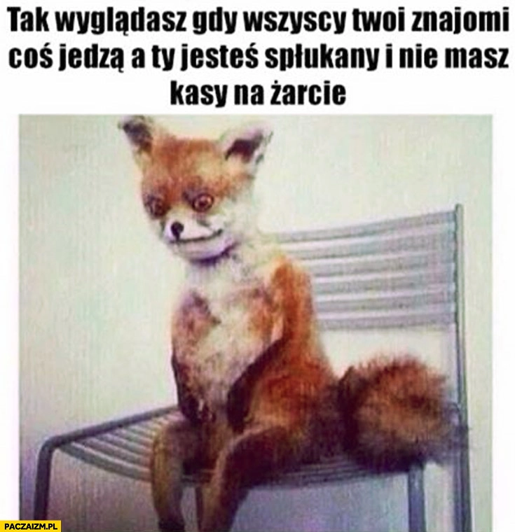 
    Tak wyglądasz gdy wszyscy Twoi znajomi coś jedzą a Ty jesteś spłukany i nie masz kasy na żarcie lisek