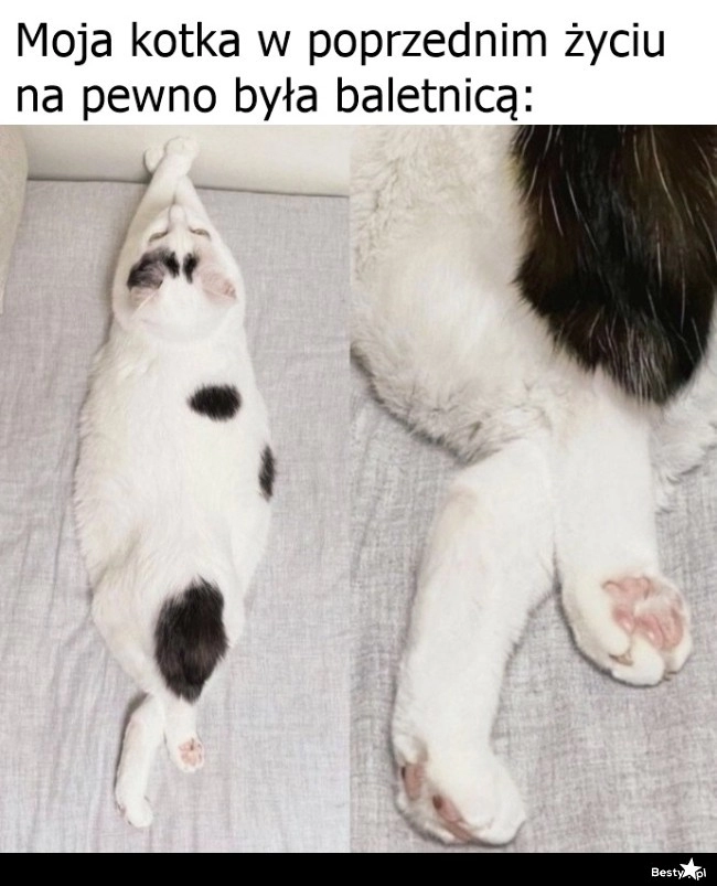 
    Baletnica 