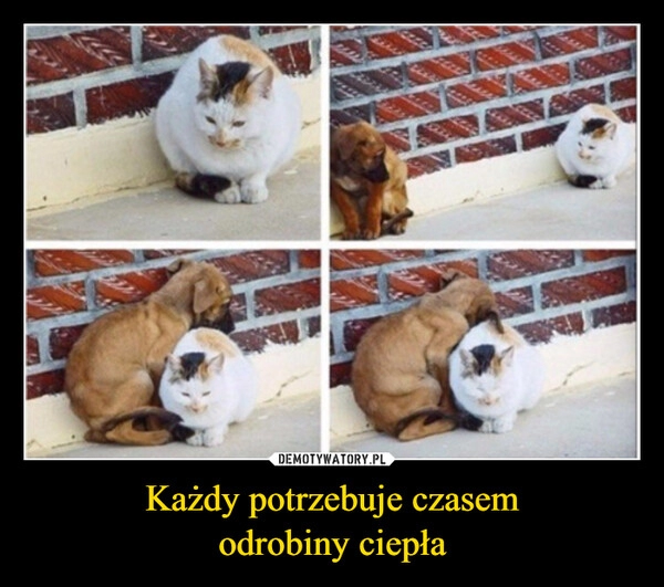 
    Każdy potrzebuje czasem
odrobiny ciepła