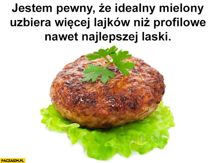 Jestem pewny, że idealny mielony uzbiera więcej lajków niż profilowe nawet najlepszej laski