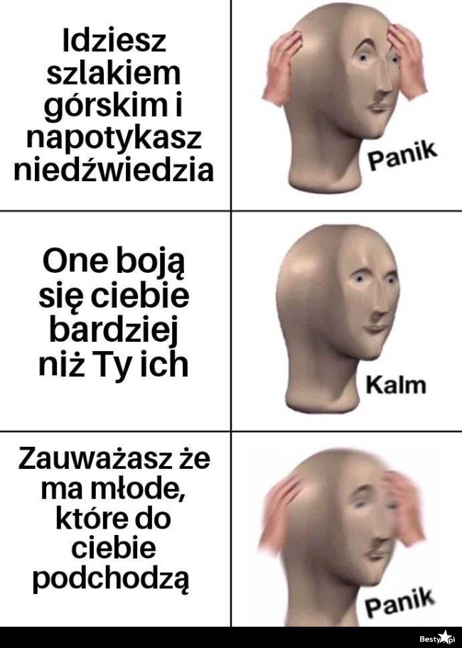 
    Niedźwiedź na szlaku 