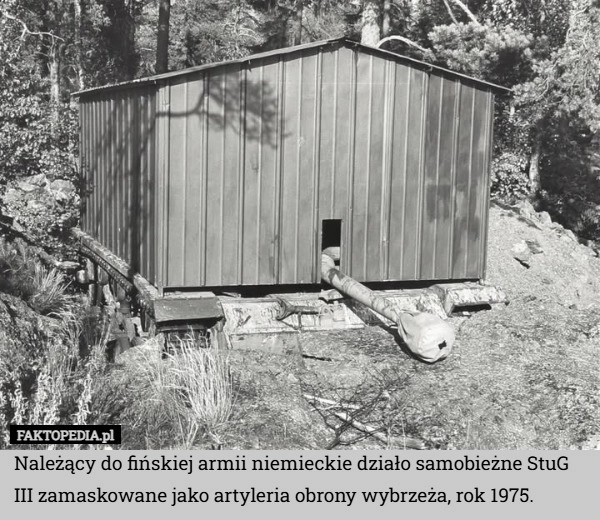 
    Należący do fińskiej armii niemieckie działo samobieżne StuG III zamaskowane