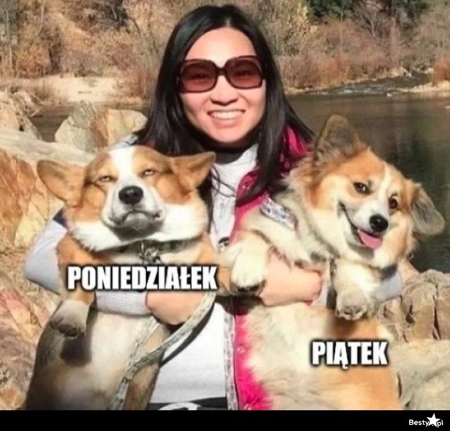 
    Poniedziałek i piątek 