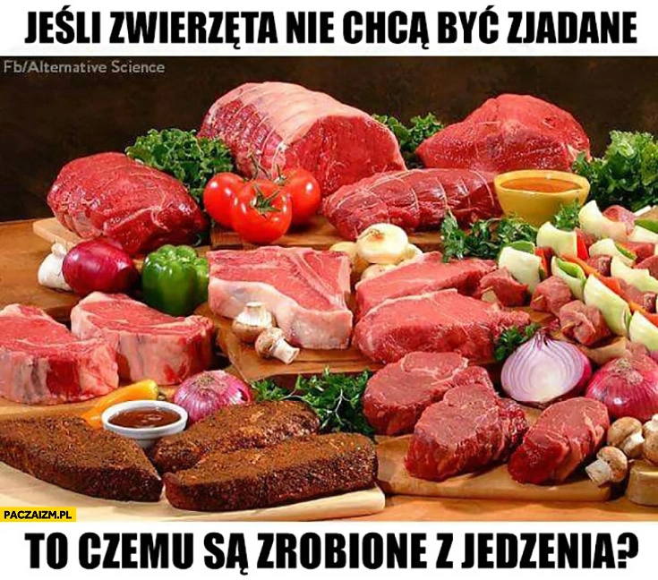
    Jeśli zwierzęta nie chcą być zjadane to czemu są zrobione z jedzenia? Mięso