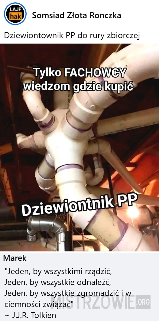 
    Dziewiontnik