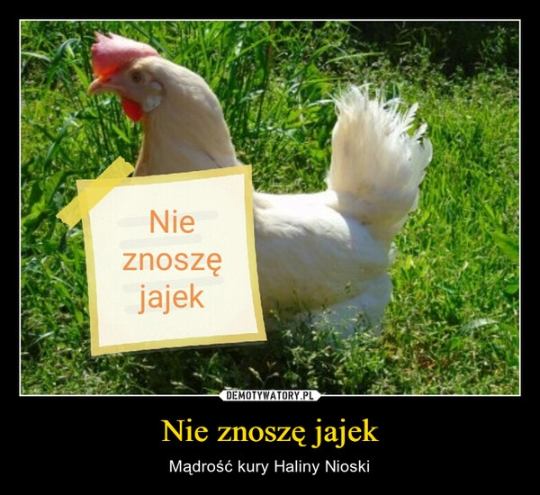 
    Nie znoszę jajek