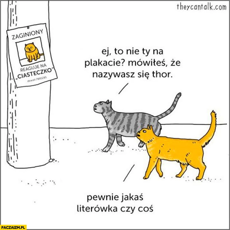 
    Zaginiony kot „reaguje na ciasteczko”, mówiłeś, że nazywasz się Thor. Pewnie jakaś literówka czy coś
