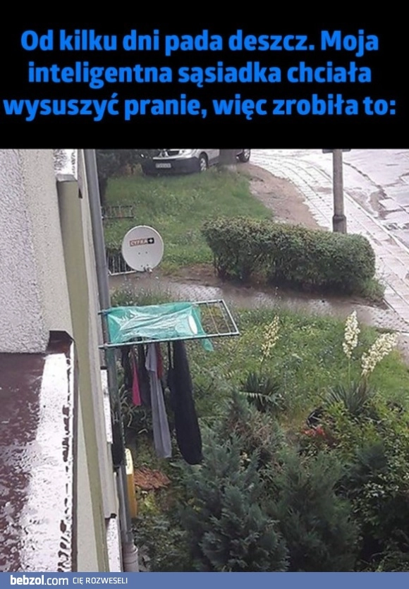 Inteligentna sąsiadka 
