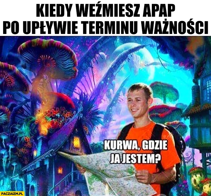 
    Kiedy weźmiesz APAP po upływie terminu ważności kurna gdzie ja jestem?