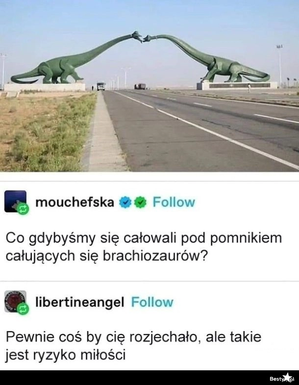 
    Ryzyko miłości 