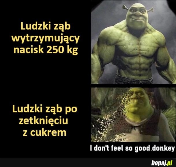 
    Ludzkie zęby