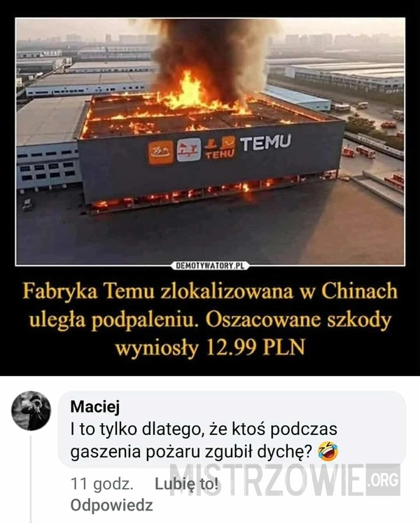 
    Fabryka Temu