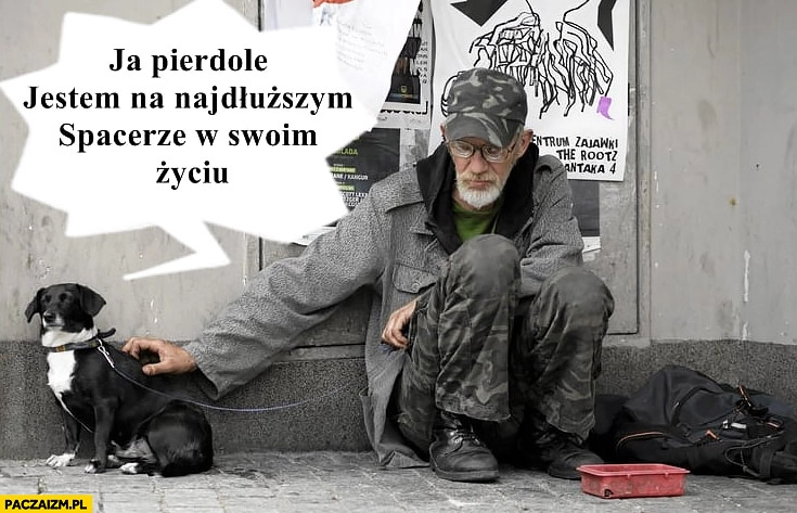 
    Ja pierdziele jestem na najdłuższym spacerze w swoim życiu pies bezdomnego