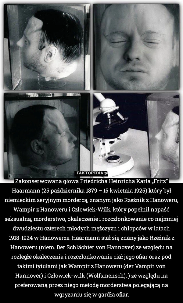 
    Zakonserwowana głowa Friedricha Heinricha Karla „Fritz” Haarmann (25 października