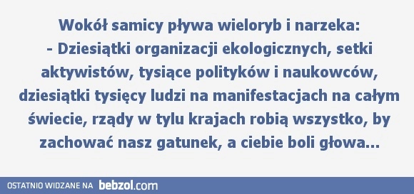 
    Wokół samicy pływa wieloryb i narzeka...