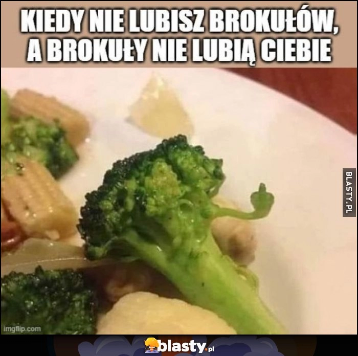 
    Kiedy nie lubisz brokułów a brokuły nie lubią ciebie środkowy palec