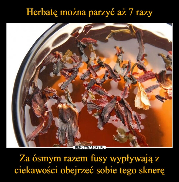 
    Herbatę można parzyć aż 7 razy Za ósmym razem fusy wypływają z ciekawości obejrzeć sobie tego sknerę