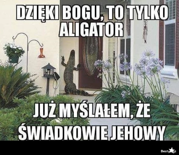 
    Co za szczęście 