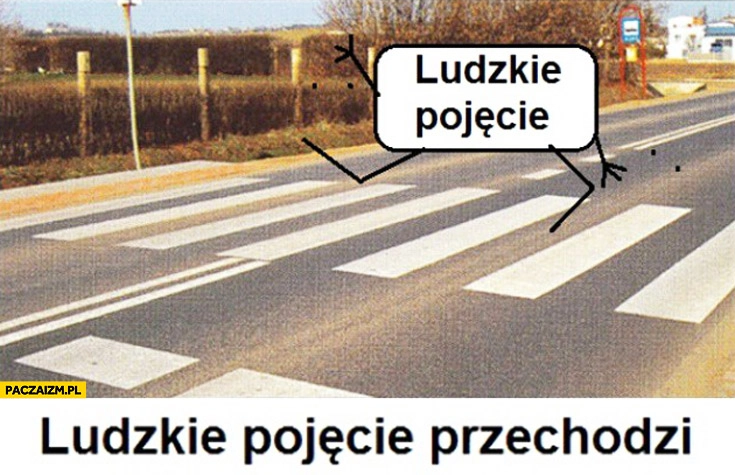 
    Ludzkie pojęcie przechodzi przez jezdnię po pasach