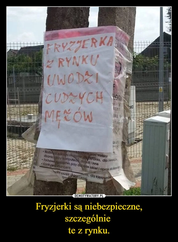 
    Fryzjerki są niebezpieczne,
szczególnie 
te z rynku.