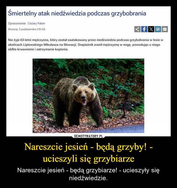 
    Nareszcie jesień - będą grzyby! - ucieszyli się grzybiarze