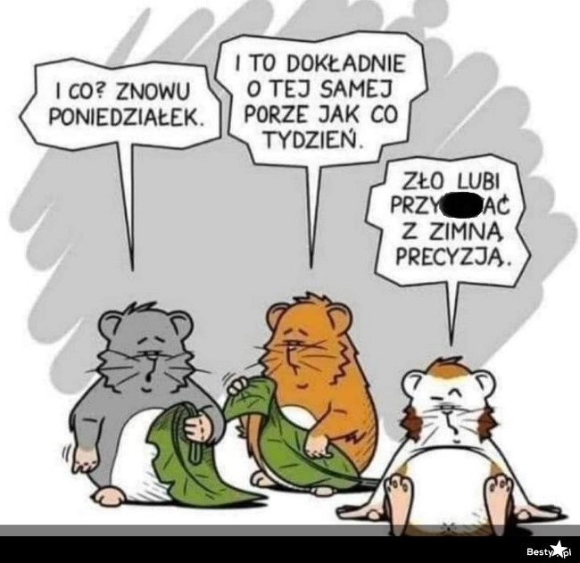 
    Poniedziałek 