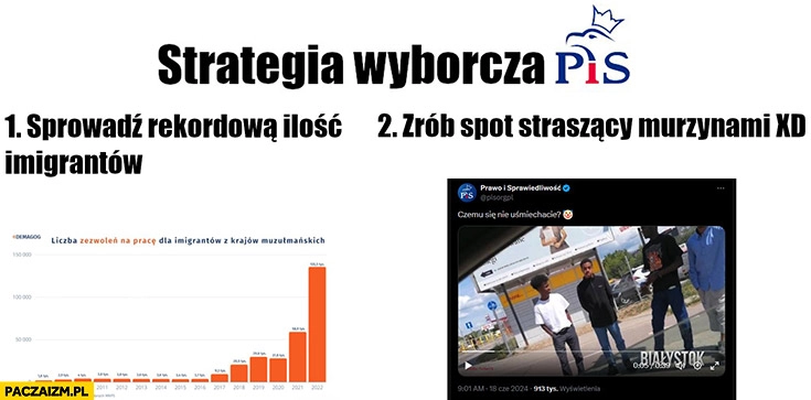 
    Strategia wyborcza PiS sprowadź rekordową ilość imigrantów zrób spot straszący murzynami